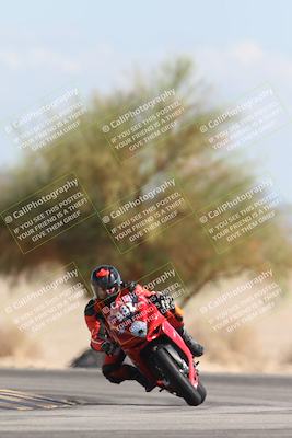 media/Oct-13-2025-Moto Forza (Mon) [[a66d839500]]/3-B Group/Session 4 Turn 4 Tree of Life/